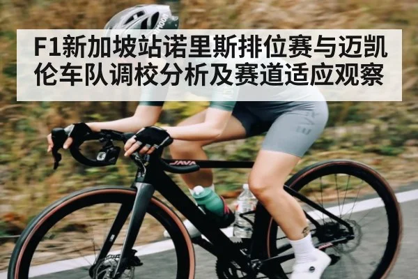 F1新加坡站诺里斯排位赛与迈凯伦车队调校分析及赛道适应观察
