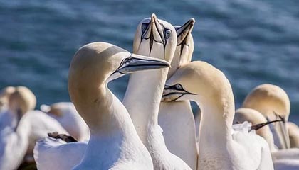 爱游戏平台-大将军称詹皇联盟最强 保罗:詹姆斯不会很快下滑